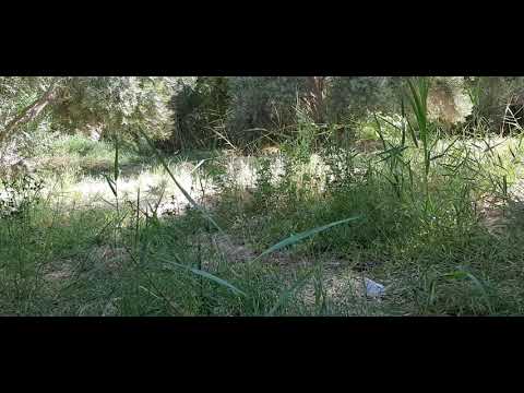 تعليم اللغه السيويه سيوة الكنز