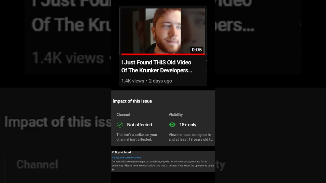 I Am Under Attack By The Krunker Developers 