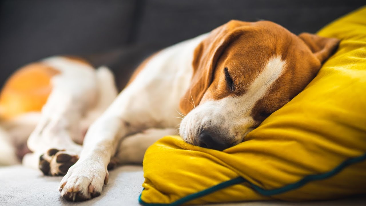 435 Hz | Positive Energy  {Healing Low Frequency} | Meditation Music, Yoga & Raise Positive Vibes