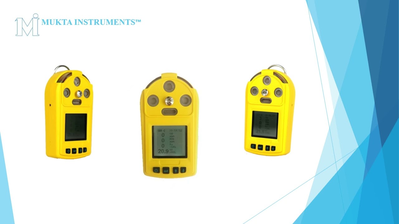 Portable H2S Gas Detector
