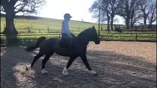 Ad ref 302739    Video 2