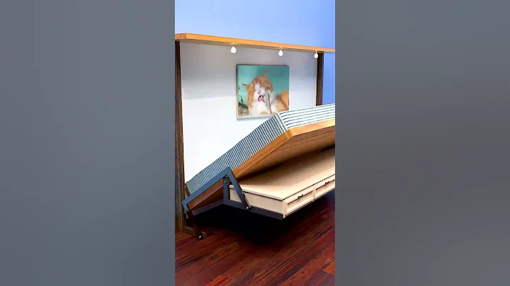 A Murphy Bed Idea For Small Space | DIY Project #bed #diy #bedroom thumbnail