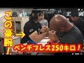ベンチプレス250キロ! 筋肉の神様登場! 腕相撲対決!