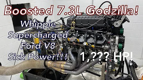 Supercharged Godzilla 7.3L Ford V8 Makes Insane Horsepower | Listen to this Whipple Roar on the Dyno