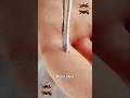 Nail pincer | 27 January 2026 #handtools #tools #viral #diy #jambur #woodwork