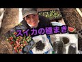 【家庭菜園】スイカの種からスイカの苗を作る【日本の農業】