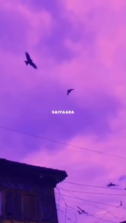 Saiyara mein Saiyara To Saiyara 💜 | Animated love status 😍 | Asthetic  Love status ✨ | #shorts 💗
