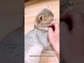 Why Do Cats Push Their Heads Into Your Hand When You Pet Them? #cat #kitten #funnycats #cutecat