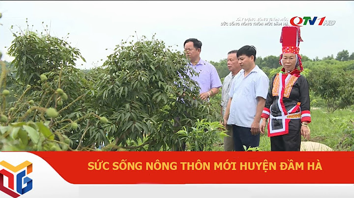 Huyện đầm hà tỉnh quảng ninh có bao nhiêu xã