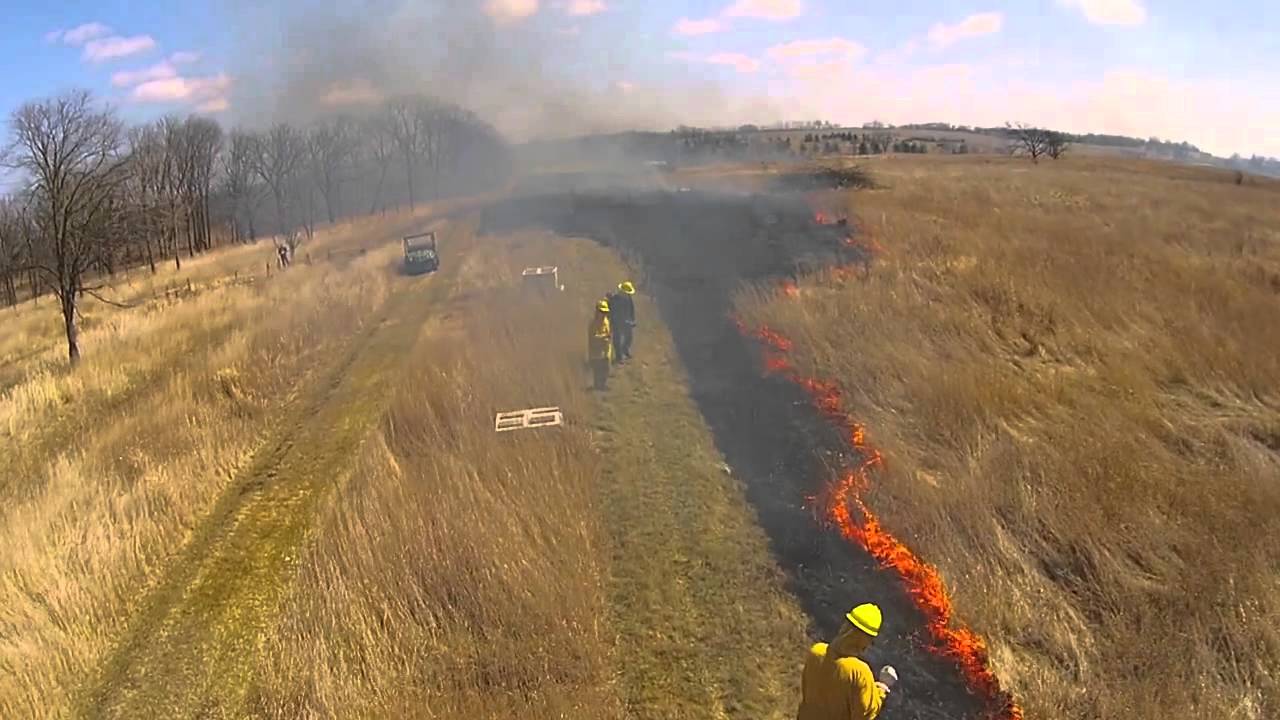 Byron+Forest+Preserve+Prescribed+Burn HD YouTube
