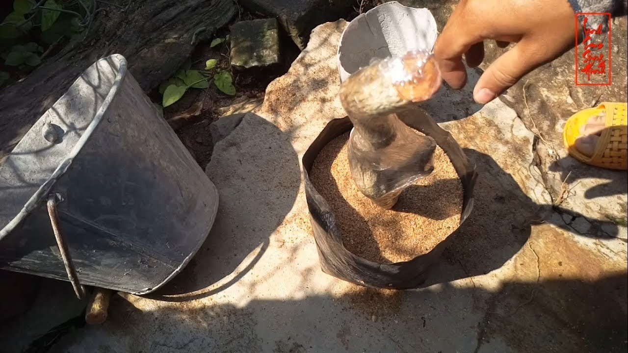 Cách Trồng Phôi Linh Sam Khi Mới Mua Về Cho Các Bạn Mới Tập Chơi