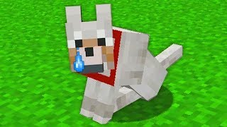 My minecraft dog died (really sad)