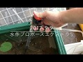 水換えに便利な水作プロホースエクストラSの使用レビュー