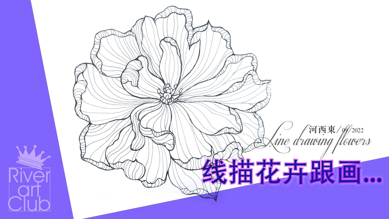 线描基础 花卉写生 Youtube