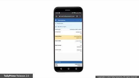 HBS SOLUTIONS PVT. LTD. | How to View TallyPrime Reports in Browser | TallyHelp