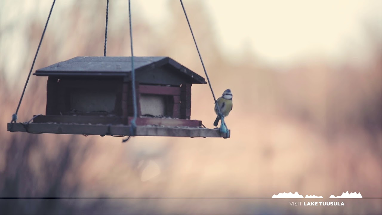 When Lake Tuusula freezes over