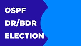 Detailed OSPF DR & BDR Explained from Basic | Designated Router & Backup Designated Router | CCNA Information
