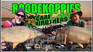 Roodekoppies Session