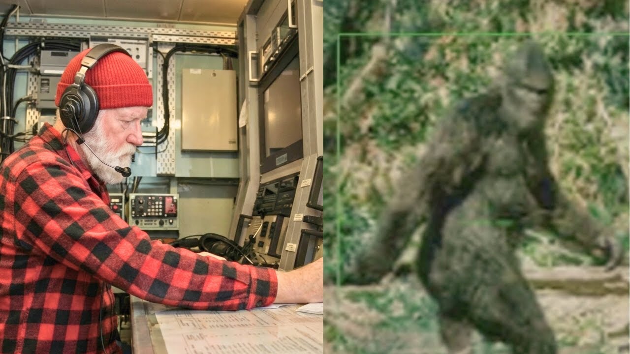 Navy Cryptologist: "The Sierra Sounds Contain A Hidden Sequence"