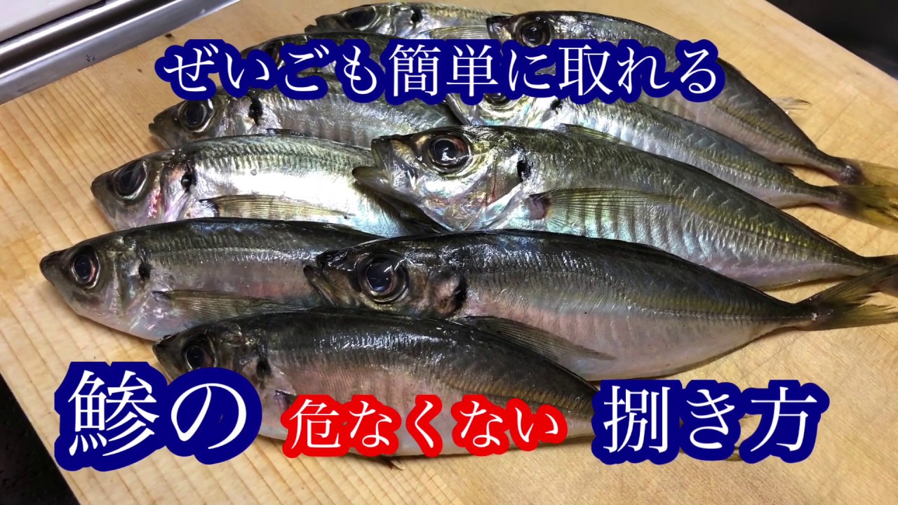 鯵のぜいごを簡単&綺麗に取る方法 - YouTube