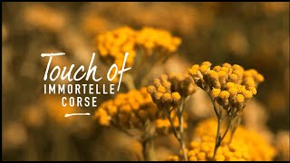 Touch Of Immortelle - Robertet