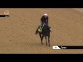 SUENO 4.26.19 Gallop