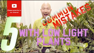 5 common mistakes with low light plants🌱