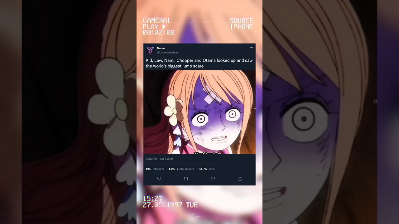 Kid, Law, Nami, Chopper and Otama looked up and saw the world's biggest jump scare