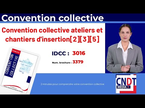 Vidéo : convention collective des ateliers et chantiers d'insertion