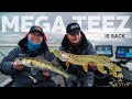 MEGATEEZ Action with Luc &amp; Jörgen | Westin Fishing