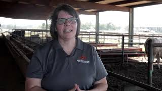 2022 BQA Educator Award - Dr. Deb VanOverbeke