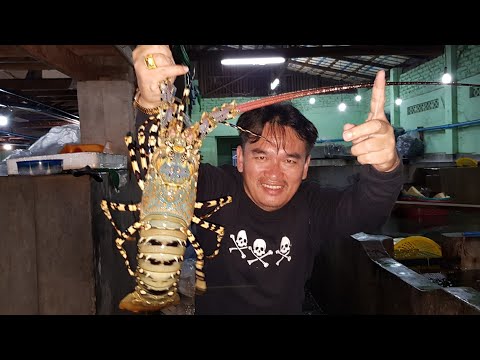 วีดีโอ: กุ้งมังกรตัวไหนดีที่สุด?