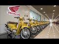 🔥 "Honda Super Cub 2026 😱 अब तक की सबसे बड़ी अपडेट! माइलेज, फीचर्स और प्राइस देख दंग रह जाओगे!" 🔥
