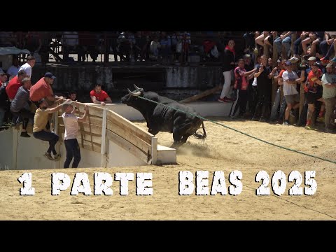BEAS DE SEGURA 2025 1 PARTE
