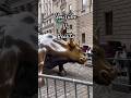 Comment if you felt same like me !!! #newyork #bull #wallstreet #chargingbull #nyc #usa #travel