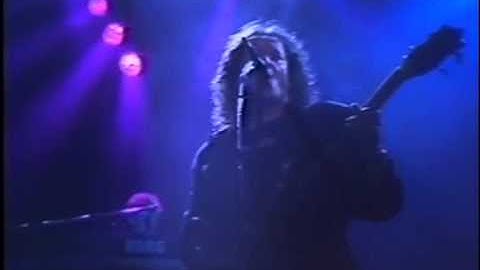 Pooh - Mai dire mai (Live)