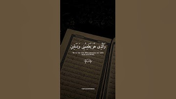 🌿💙 تلاوة من عالم آخر 😭 | القارئ إسلام صبحي يتلو سورة الشعراء بخشوع ❤️📖 #short #اسلام_صبحي