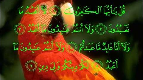 109سورة الكافرون بصوت الشيخ فارس عباد .wmv