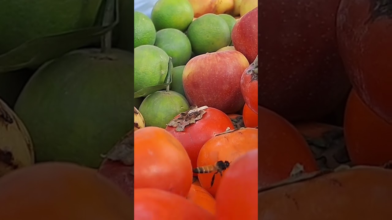 #BeeOnFruit