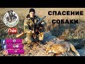 Охота с ягдтерьером, спасение собаки после размена. Fox Hunt with Jagdterrier