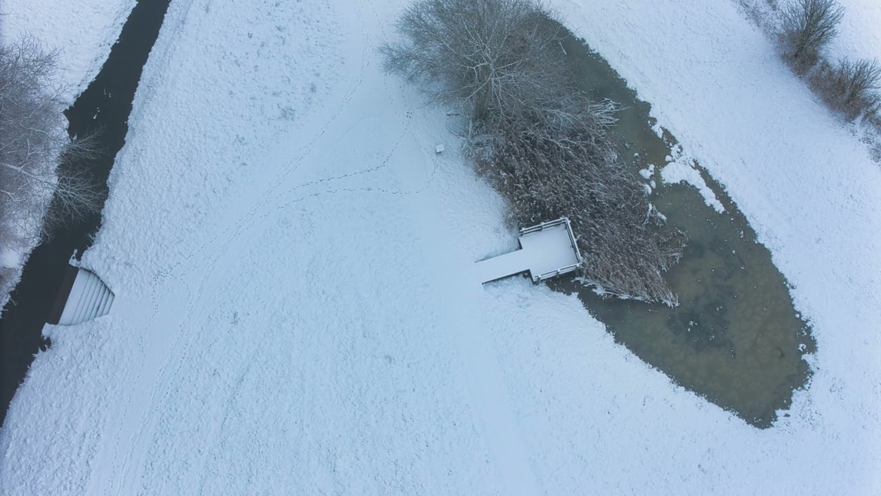 An der Bifurkation 16. 02.2026