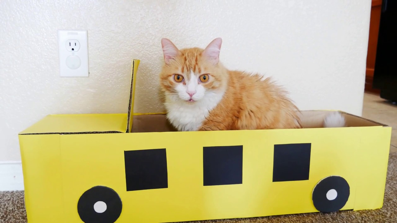 고양이에게 스쿨버스 스크레처를 만들어주었더니..(School Bus Cat Scratcher) YouTube