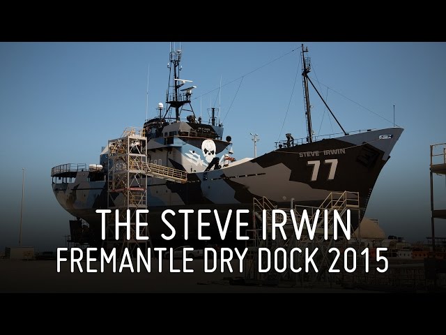 Steve Irwin Dry Dock 2015, Fremantle, Australia class=