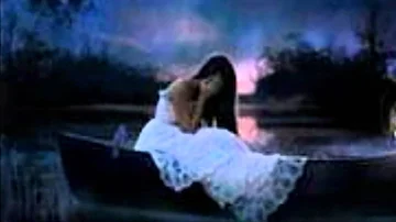 Sara Evans - " My Heart Can't Tell You No"