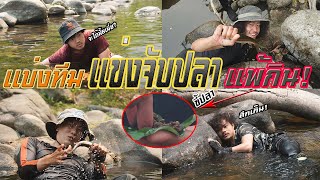 แบ่งทีม..! แข่งจับปลาด้วยมือเปล่า แพ้..! กินขี้ปลา | Jungle Games [ JF ]