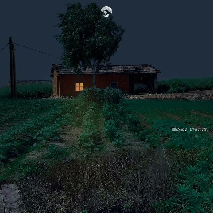 SUASANA MALAM DI KAMPUNG, SUARA JANGKRIK DAN KATAK BIKIN RINDU KAMPUNG