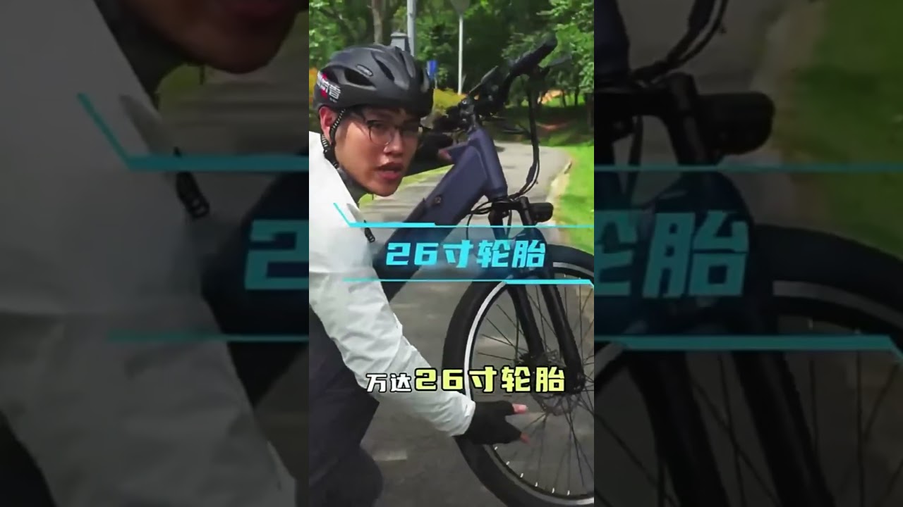 Mountain Pedal Assist Ebike