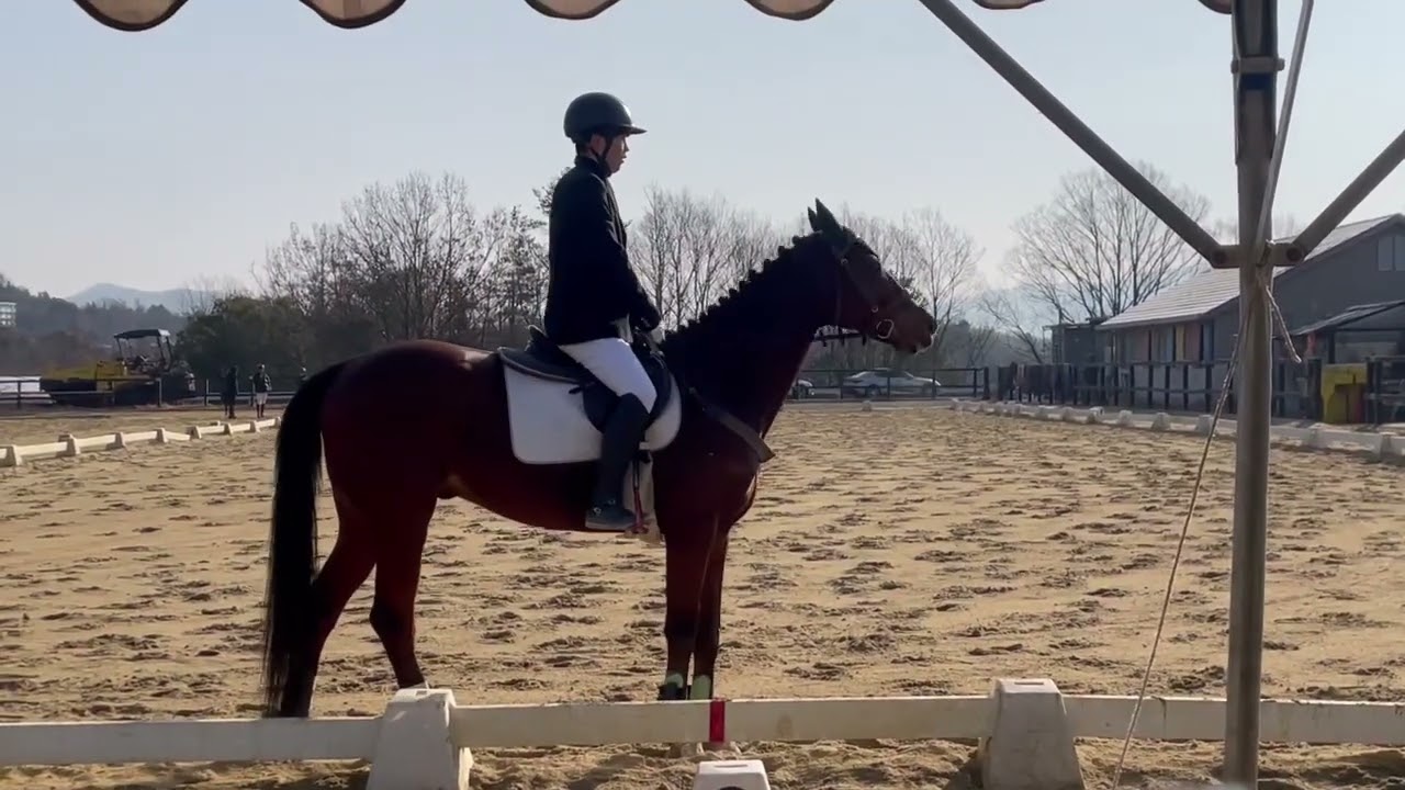 2026/2/21 馬場部内戦 本橋選手(コーナスフロリダ) 1スター 前半