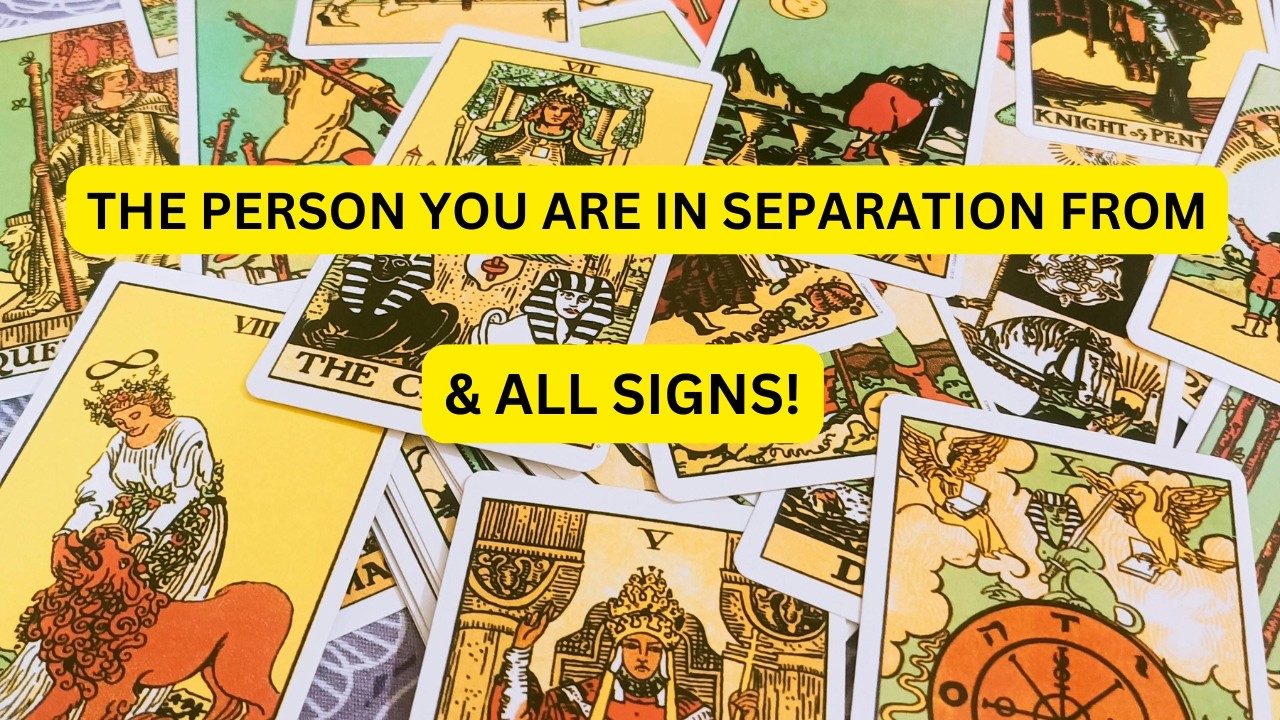 🎀The PERSON you are in SEPARATION from and ALL SIGNS🎀
