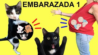 Gatos Luna Y Estrella Quién Esta Embarazada? Cap 1 La Sorpresa Videos De Gatitos